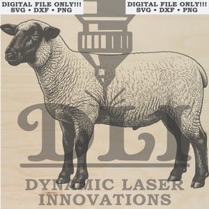 May include: A digital graphic design featuring a detailed illustration of a sheep in profile. The text "DIGITAL FILE ONLY!!! SVG • DXF • PNG" appears at the top, and "DYNAMIC LASER INNOVATIONS" is printed at the bottom over a laser icon.