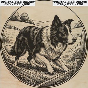 Può includere: Un'illustrazione digitale in bianco e nero di un Border Collie in piedi in un campo erboso con una staccionata in legno, racchiusa in una cornice circolare. Il testo DIGITAL FILE ONLY!!! SVG DXF PNG è visualizzato in alto in nero.