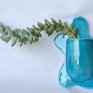 May include: A bright turquoise ceramic wall planter with an irregular, organic shape. A long, trailing succulent plant with pale green, fleshy, teardrop-shaped leaves extends horizontally from the opening of the glossy, smooth-surfaced vessel.