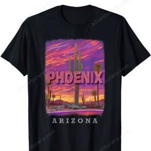 Oasis Phoenix Arizona Desert Rock Band Graphic Tee Vintage Retro T-Shirt