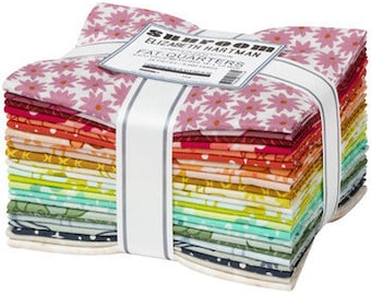 Sunroom by Elizabeth Hartman