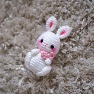 Ellie le lapin de Pâques Amigurumi Crochet PDF Pattern Tutoriel de bricolage Rabbit Yarn Craft Anniversaire Vacances Enfants Garçon Fille Unisexe Cadeau image 6