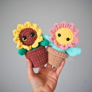 May include: Two handmade crochet flower plushies in terracotta pots. One has a yellow sunflower with a brown center, the other a pink flower with a yellow center. Both have black eyes and green stems. The text "SWEET SOFTIES" is in the bottom right corner.