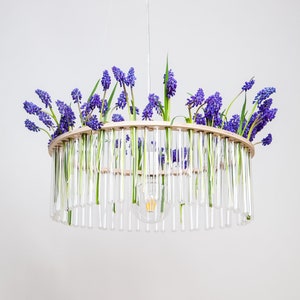 Maria S.C. single test tubes chandelier / lamp / // vase / floral decoration