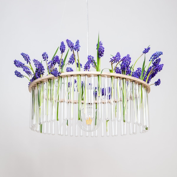 Maria S.C. araña de tubos de ensayo individuales / lámpara / // jarrón / decoración floral