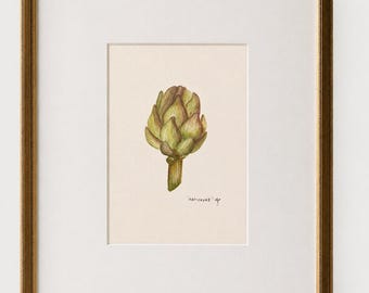 Original Art | Artichoke | Small Watercolour Study | Frame not included