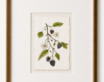 Original Art | Blackberries | Small Watercolour Study | Frame not included