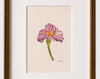 Original Art | Iris | Small Watercolour Study | Frame not included