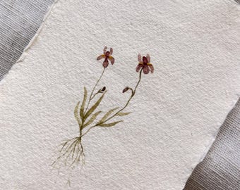 Original Art | Irises | Original Watercolour | Frame not included