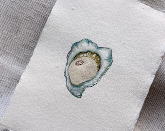 Original Art | Shucked I | Original Watercolour | Frame not included