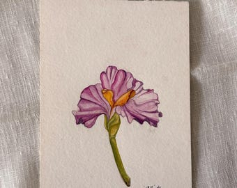 Original Art | Iris | Small Watercolour Study | Frame not included