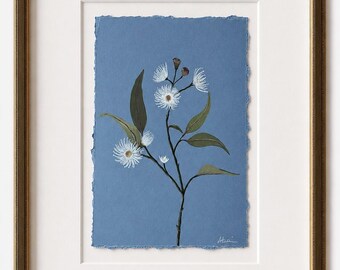 Original Art | Eucalypt | Small Watercolour Study | Frame not included