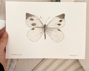 Original Art | Cabbage White | Small Watercolour Study | Frame not included