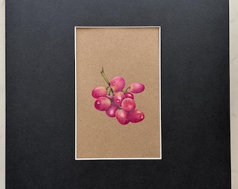 Original Art | Harvest | Small Pencil Study | Frame not included