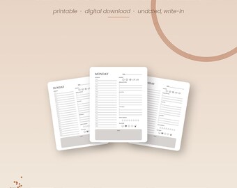ADHD Daily Planner Printable | Undated Digital Planner PDF | Daily Schedule, Habit Tracker, Meal Planner | Instant Download + Bonus Stickers