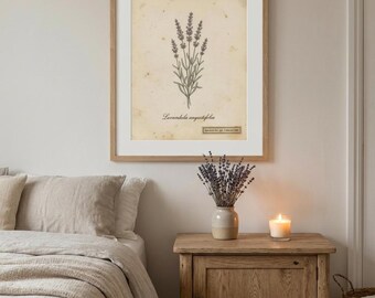 Lavender Herbarium Print, Vintage Style Botanical Specimen Wall Art, Instant Download