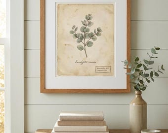 Vintage Style Botanical Print Set of 4, Herbarium Specimen Wall Art, Instant Download