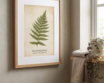 Fern Herbarium Print, Vintage Style Botanical Specimen Wall Art, Sage Green, Instant Download