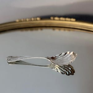 Peut inclure: Une petite cuillère en argent avec un cuilleron en forme de coquille Saint-Jacques nervurée. Le manche est fin et lisse, s'effilant vers l'extrémité. La cuillère repose sur une surface réfléchissante, créant un reflet net de sa forme.