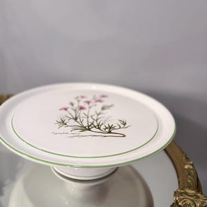 May include: A white ceramic cake stand featuring a botanical illustration of a pink and green Gypsophila repens plant on the top surface. The plate has a thin green circular border line, and the stand has a smooth, glossy finish throughout.