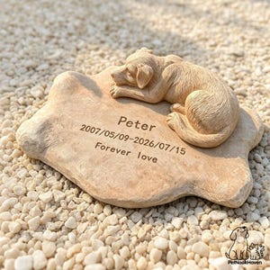 Puede incluir: Una piedra conmemorativa de color canela con una escultura de un perro durmiendo encima. La superficie está grabada con el nombre Peter, las fechas 2007/05/09-2026/07/15 y el texto Forever love. La piedra tiene una forma irregular y natural.