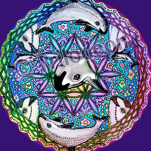 May include: A circular digital art print featuring multiple dolphins in a mandala design. The dolphins are white and gray, set against a vibrant background of blue, pink, and green floral and geometric patterns. The artwork has a whimsical, colorful aesthetic.