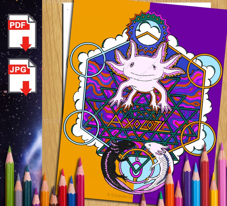 Axolotl Coloring Page Mandala Coloring Page Printable - Etsy