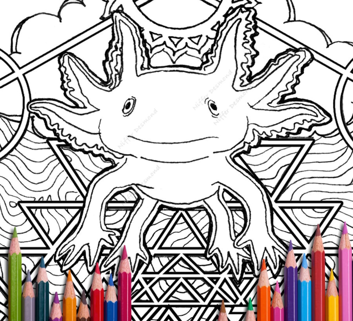 Axolotl Coloring Page Mandala Coloring Page Printable - Etsy Norway