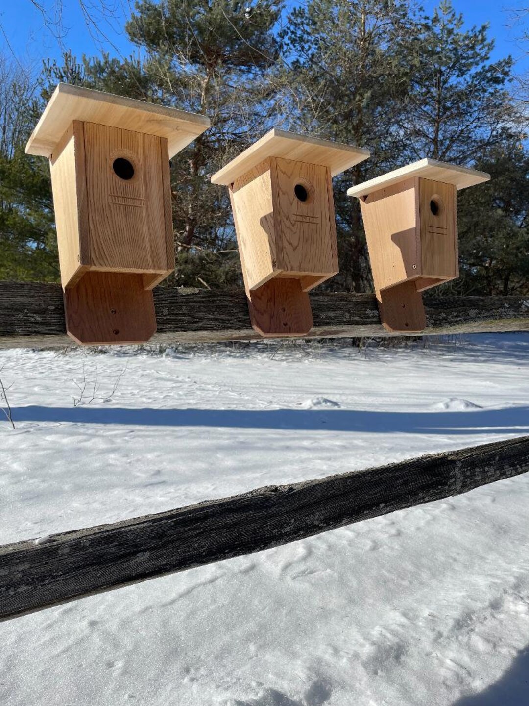 3 Pack House Wren Nesting Box Etsy