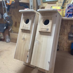 2 pack Northern Flicker nesting box, white cedar.