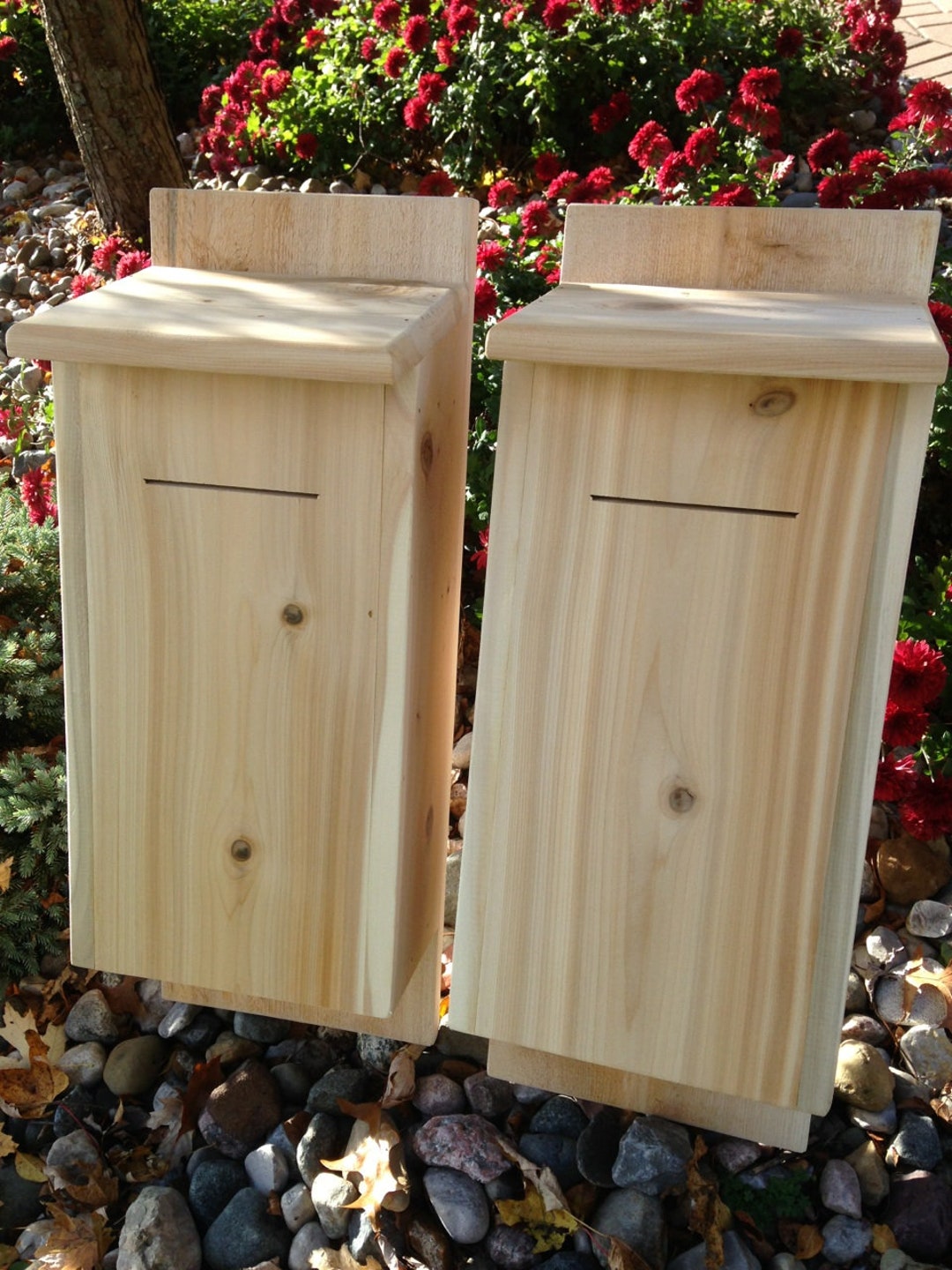 Bat Box 2 - Pack, White Cedar - Etsy