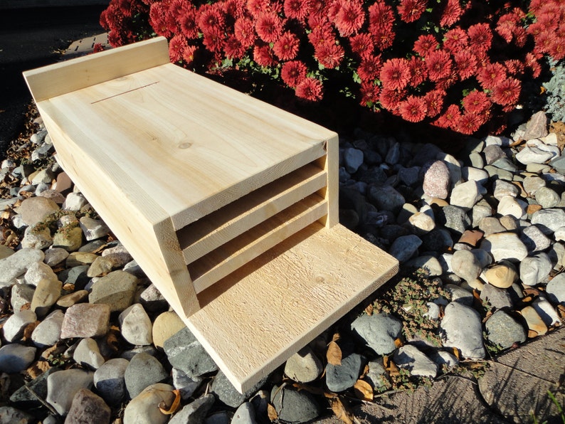 Cedar Bat Box, White Cedar - Etsy