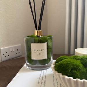 Puede incluir: Un difusor de varillas de cristal transparente relleno de bolas de musgo verde brillante, con un cuello dorado y varillas negras. Una etiqueta cuadrada blanca en la parte frontal muestra el texto MOSS INTERIOR DESIGNS en negro con un icono.