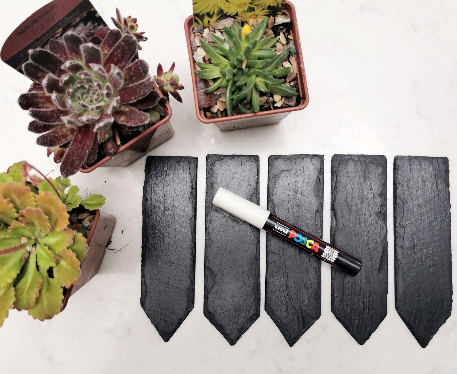 Natural slate plant markers with posca paint pen set of 5 Etsy