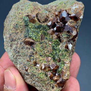 May include: A raw mineral specimen featuring clusters of dark brown, faceted garnet crystals embedded within a textured, light green and grey rock matrix. The stone has an irregular, heart-like shape with visible crystalline structures.
