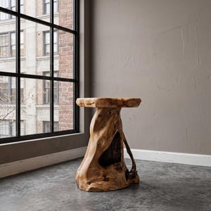 May include: A side table crafted from a single piece of light brown natural wood, featuring a smooth circular top and a thick, organic, hollowed-out trunk base with visible wood grain patterns and a dark, recessed interior section.