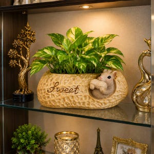 May include: A tan, textured planter shaped like a peanut with the word Sweet written in cursive script. A small, light brown hamster figure is sculpted into the side, holding a smaller peanut. A green and white variegated pothos plant grows inside.