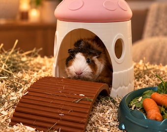 Guinea Pig Mushroom House Set | 3D Printed House with Bridge & Food Bowl | Small Animal Accessories | Guinea Pig Hideout