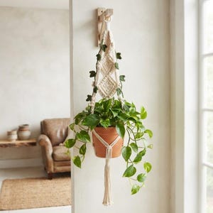 Macrame Plant Hanger with Crochet Leaf Vine, Boho Woven Hanging Planter