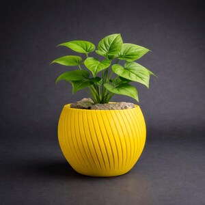 Op de afbeelding: Een felgele, bolvormige plantenpot met een textuur van diagonale ribbels aan de buitenkant. De pot bevat een kleine, groene plant met hartvormig blad en lichtgekleurde steentjes die het oppervlak van de aarde bedekken.