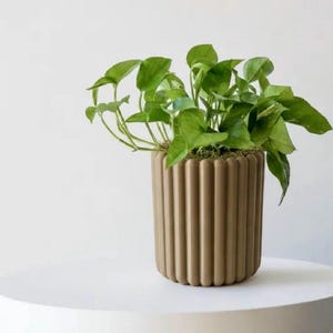 Minimalist Fluted Planter