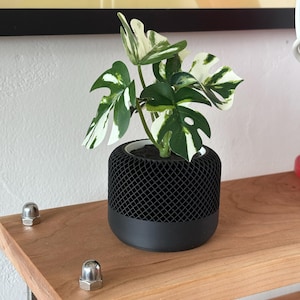 May include: A variegated Monstera plant with green and white leaves potted in a black cylindrical planter. The planter features a solid base and a top section with a fine, diamond-shaped lattice pattern, showcasing a modern, structured design.