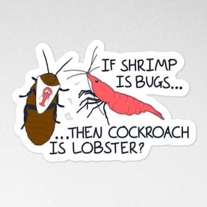 Divertida calcomanía de lógica de camarones / debate sobre cucarachas y langostas / Regalo genial para laptop con temática de acuario