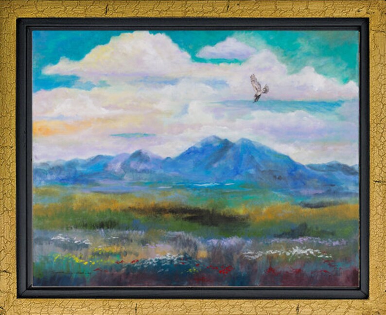Turquoise Sky Hawk Day image 3