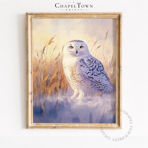 May include: A framed art print featuring a snowy owl with white and black speckled feathers and bright orange eyes, standing in a field of tall golden grass and snow. The text CHAPEL TOWN PRINTS appears at the top and in a circular watermark.