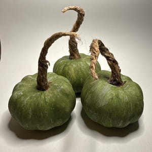 Puede incluir: Tres calabazas decorativas redondas de color verde salvia con superficies texturizadas y costillas prominentes. Cada calabaza presenta un tallo alto y curvado hecho de cuerda de yute marrón natural trenzada.