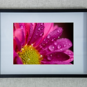 May include: A framed wall art piece featuring a macro photograph of a vibrant magenta flower with a yellow center, covered in clear water droplets. The print is encased in a simple black frame with a white mat border, creating a clean display.