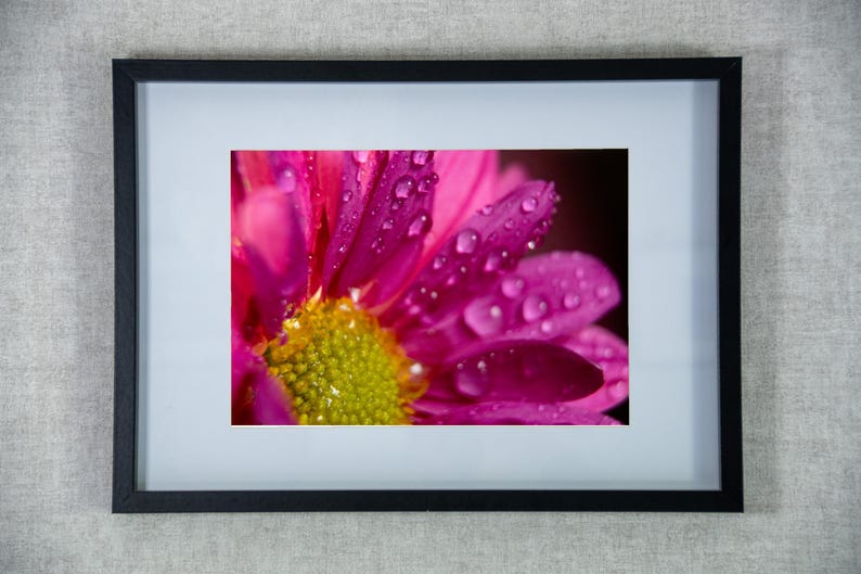 May include: A framed wall art piece featuring a macro photograph of a vibrant magenta flower with a yellow center, covered in clear water droplets. The print is encased in a simple black frame with a white mat border, creating a clean display.
