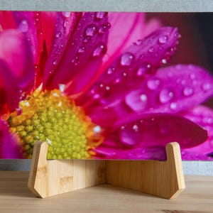 May include: A rectangular print featuring a vibrant magenta flower with a textured yellow center, covered in clear water droplets. The print is displayed on a light-colored wooden stand with a V-shaped base and two angled supports.