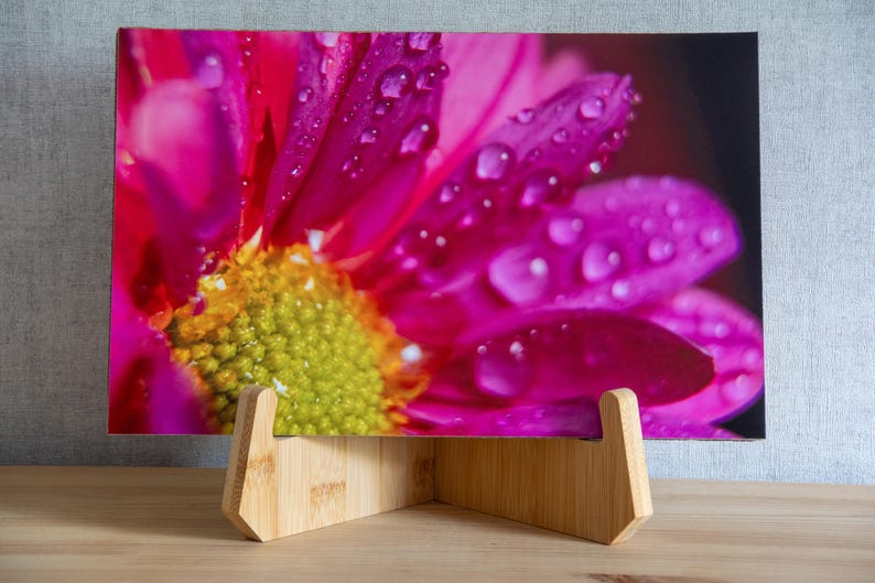 May include: A rectangular print featuring a vibrant magenta flower with a textured yellow center, covered in clear water droplets. The print is displayed on a light-colored wooden stand with a V-shaped base and two angled supports.
